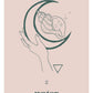 Blush - The Elements - Various Friends